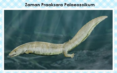 sejarah7-zaman-praaksara-palaeozoikum2